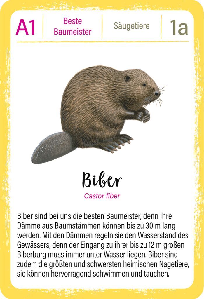 Qartett EXPEDITION NATUR - TIERREKORDE