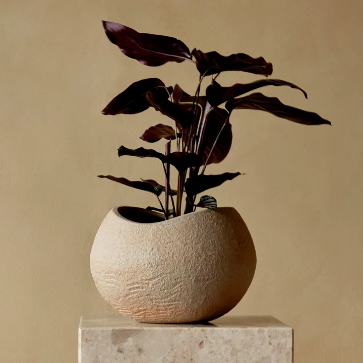 Audo - Plantas Pflanzentopf H 24 cm, elfenbein