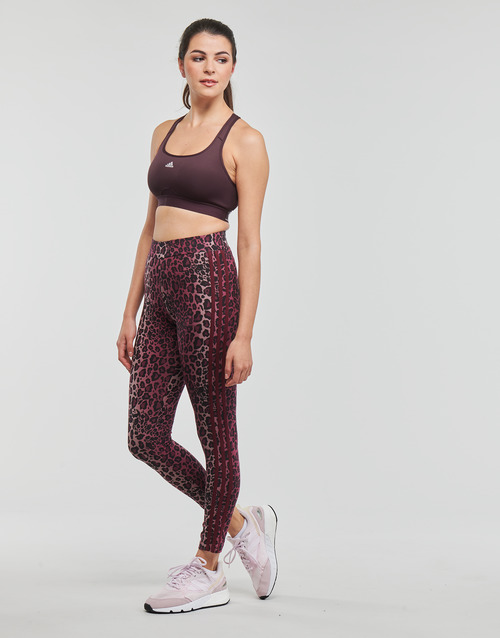 adidas Performance - PWR MS PD - Noir