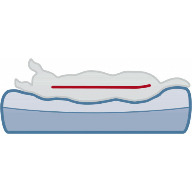 Lit orthopédique pour chien Samoa Vital