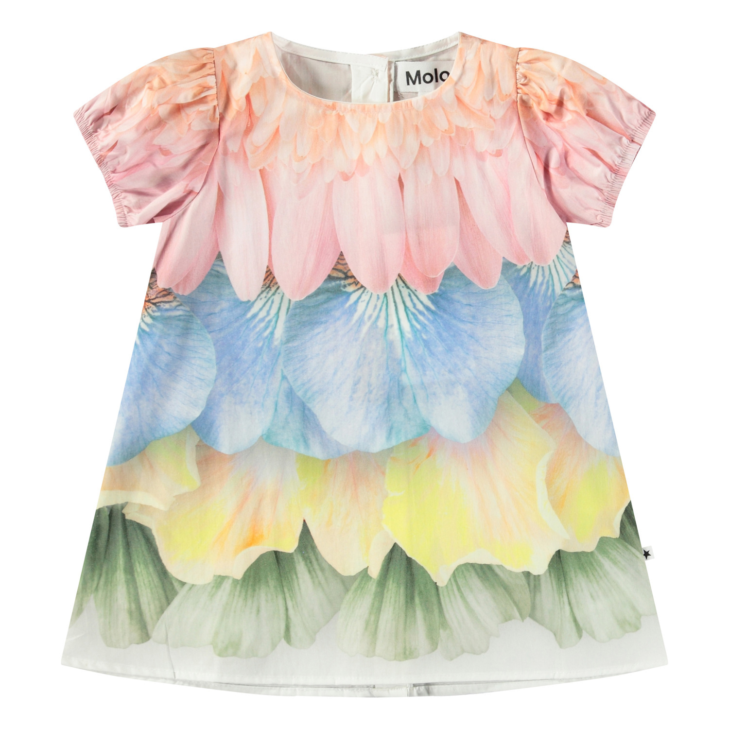 Caja - Petal Rainbow