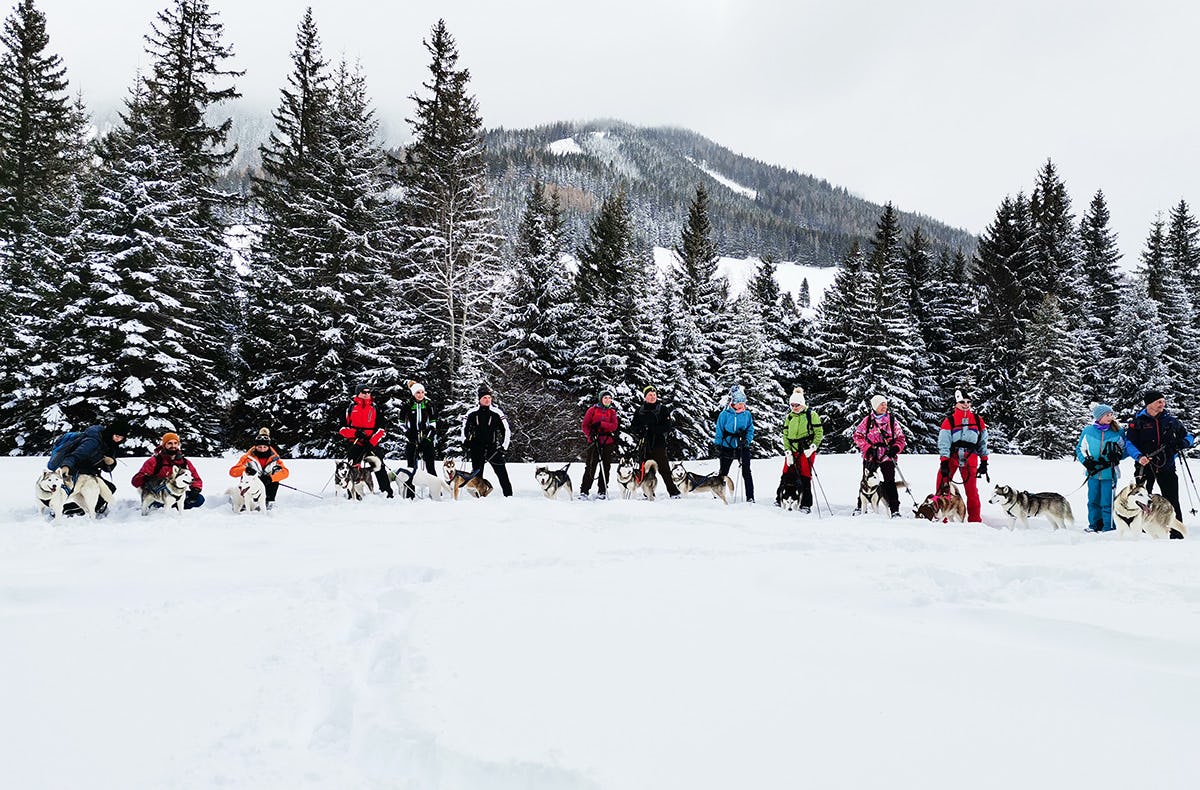 Husky Schneeschuhtrekking Hohentauern für 2