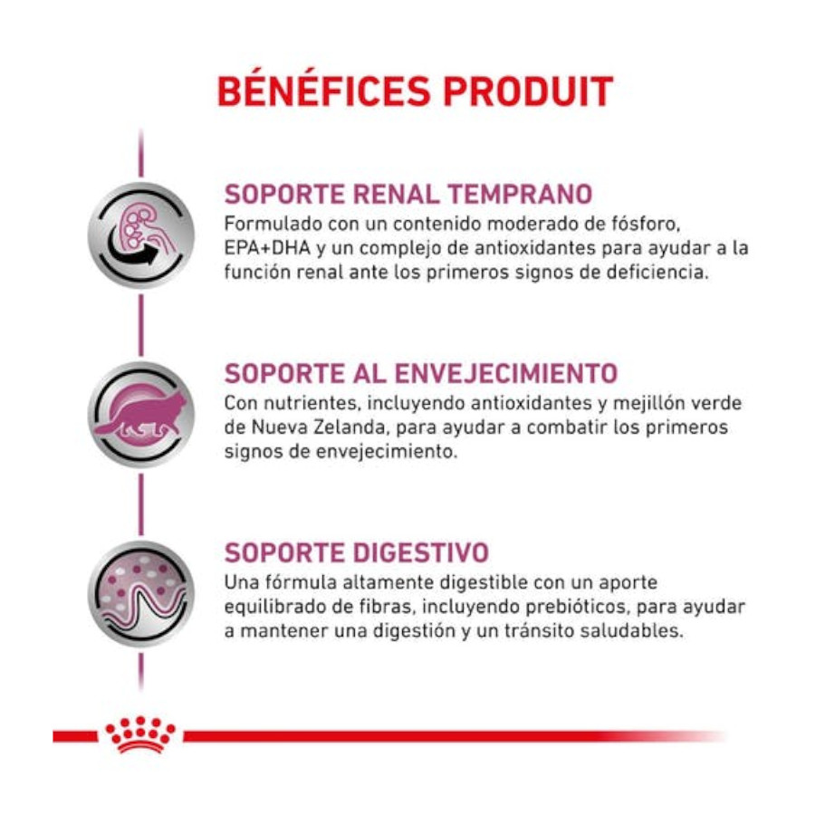 Ração Royal Canin Veterinary Early Renal para gatos