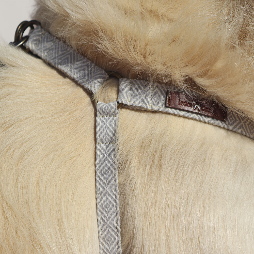 Coleira de cortiça artesanal Barking Gaucho para cães
