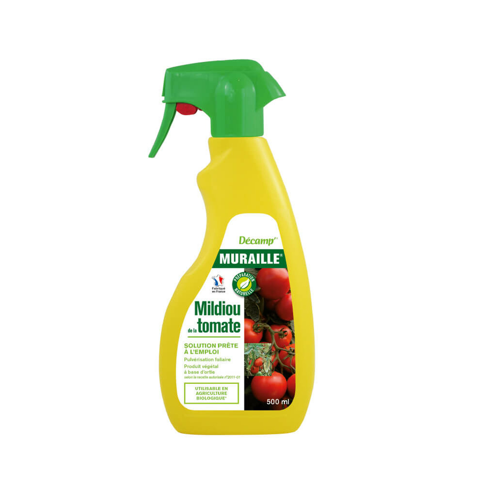 Traitement barrière contre le mildiou de la tomate