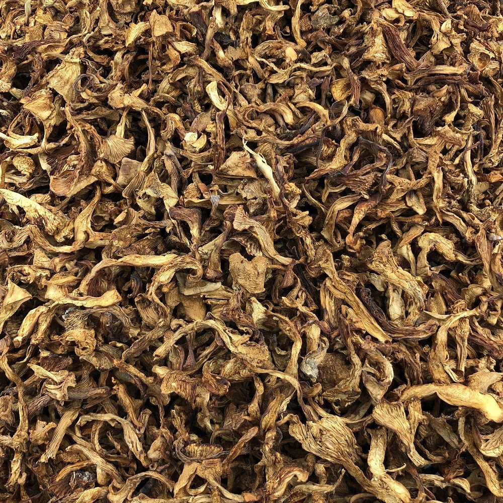 Champignon Chanterelle Bio en Vrac 50g Vrac Bio