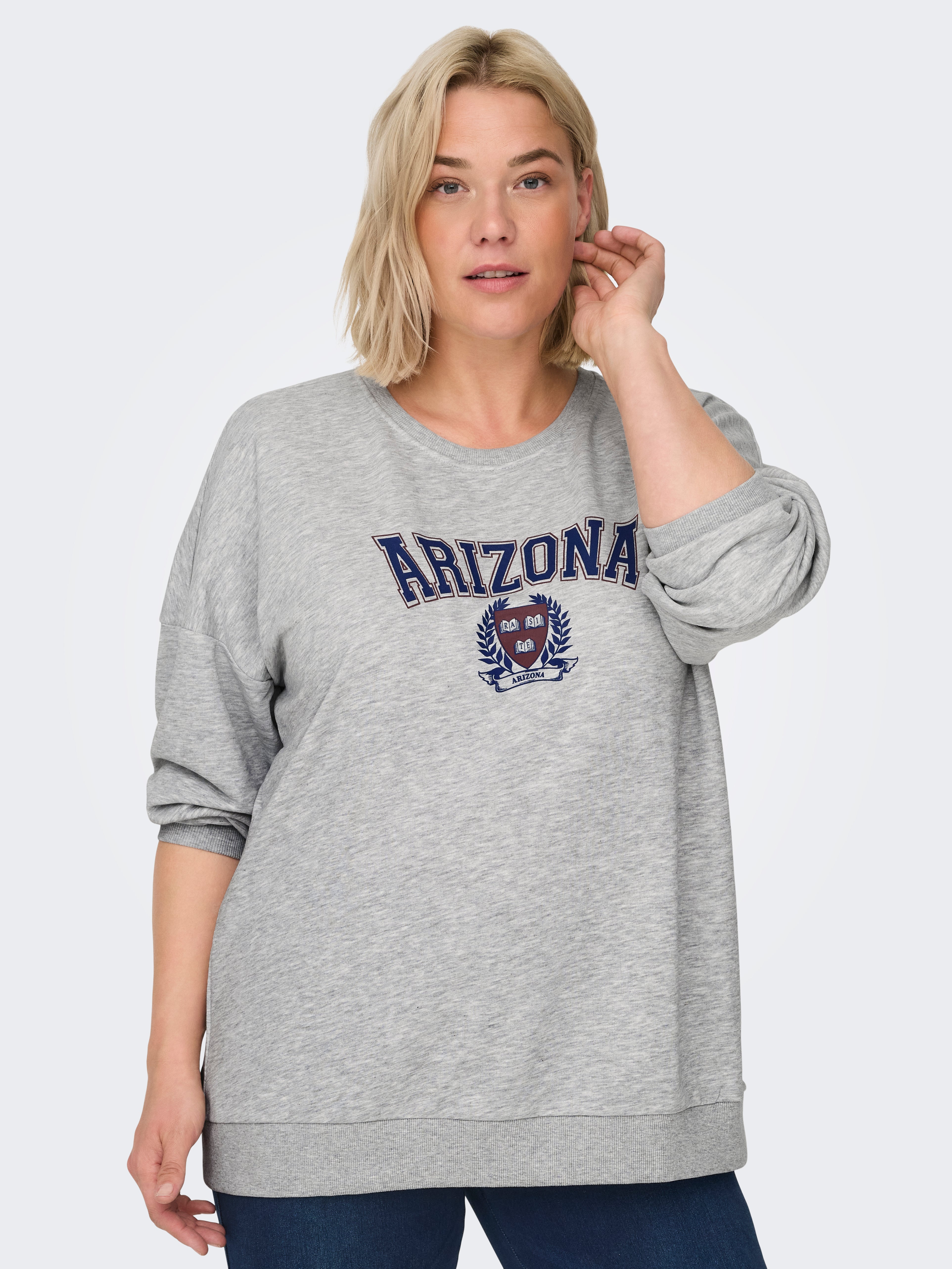 CARCOLLEGE Sweatshirt Light Grey Melange