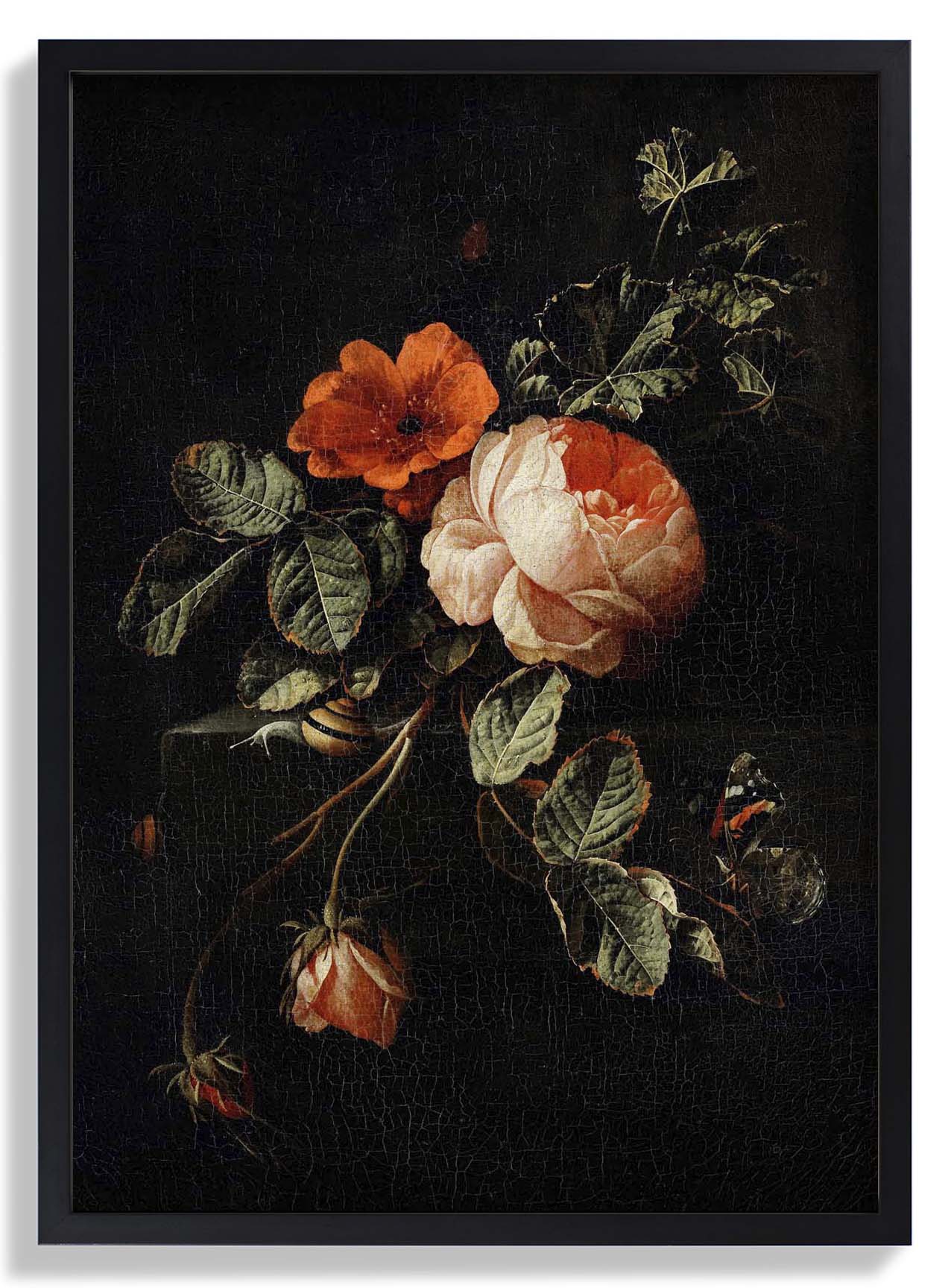 Rosen von van den Broeck