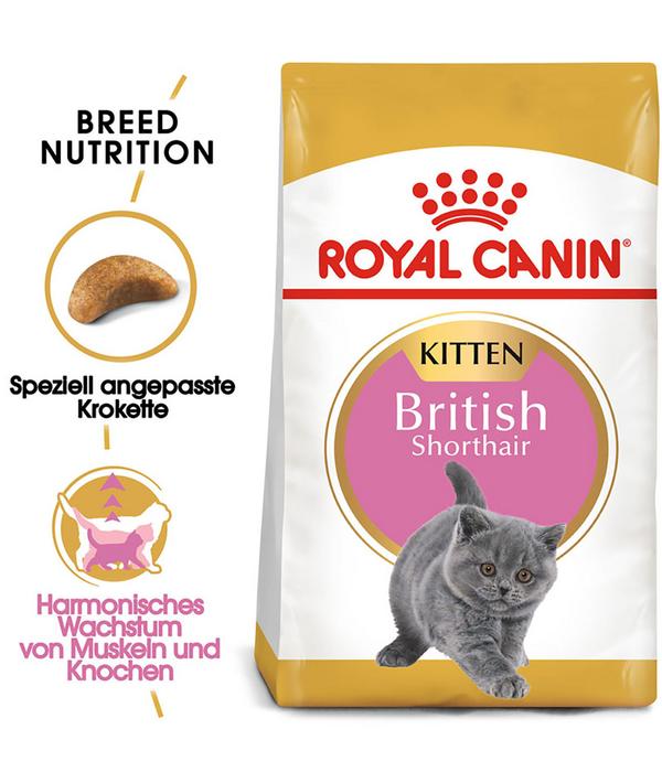 ROYAL CANIN® Trockenfutter für Katzen
