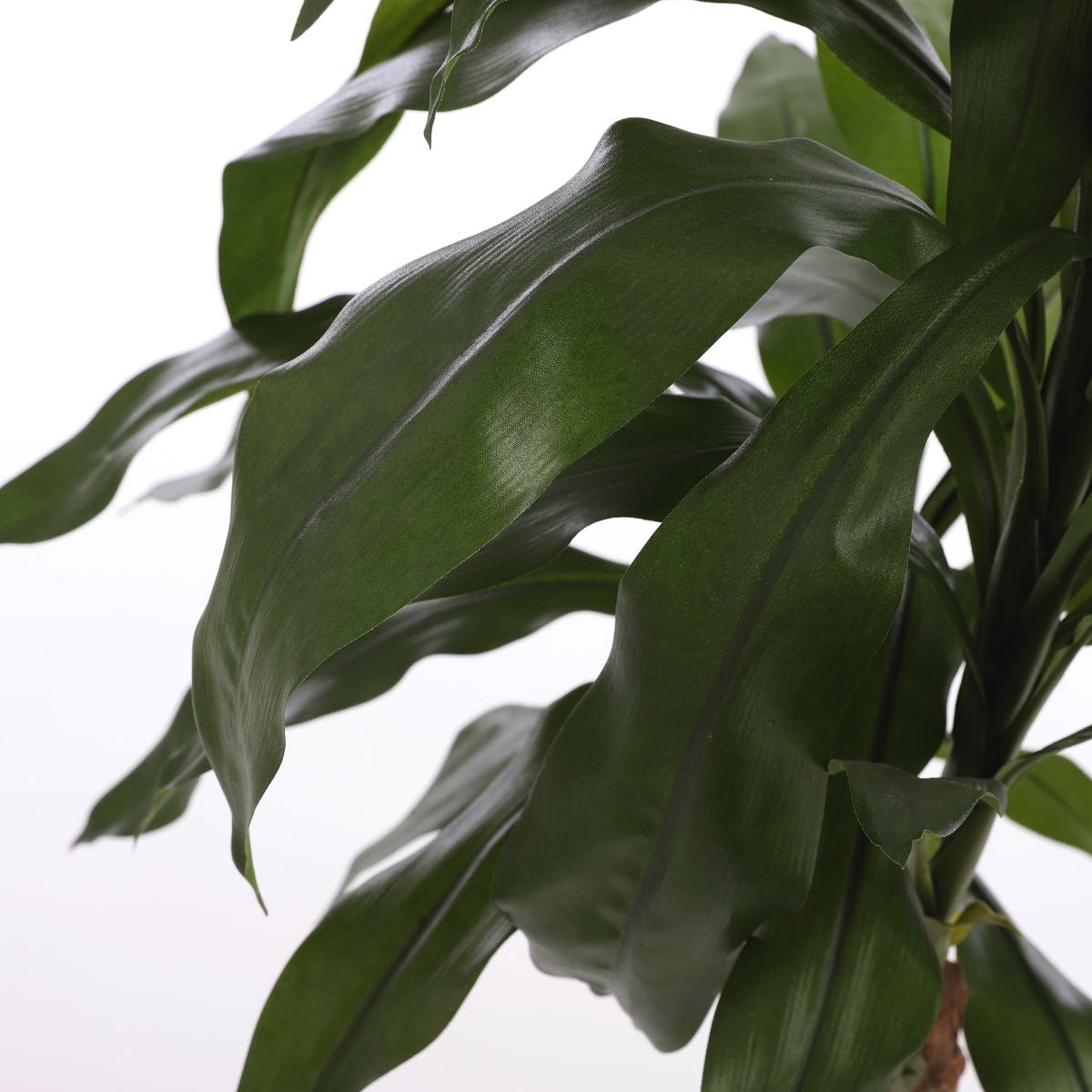 Mica decorations - dracaena artificielle en pot h100