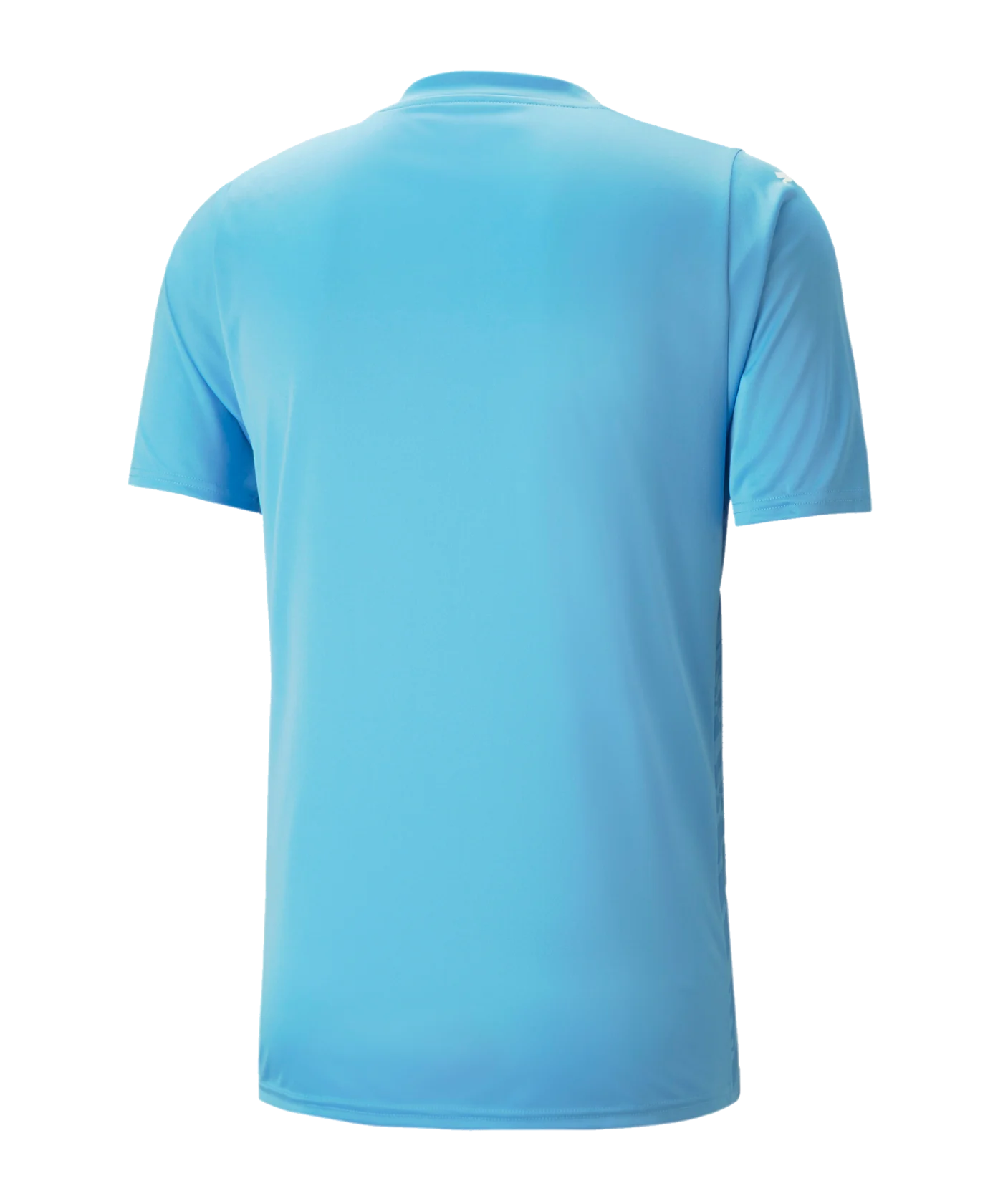 PUMA teamULTIMATE Trikot Blau F18