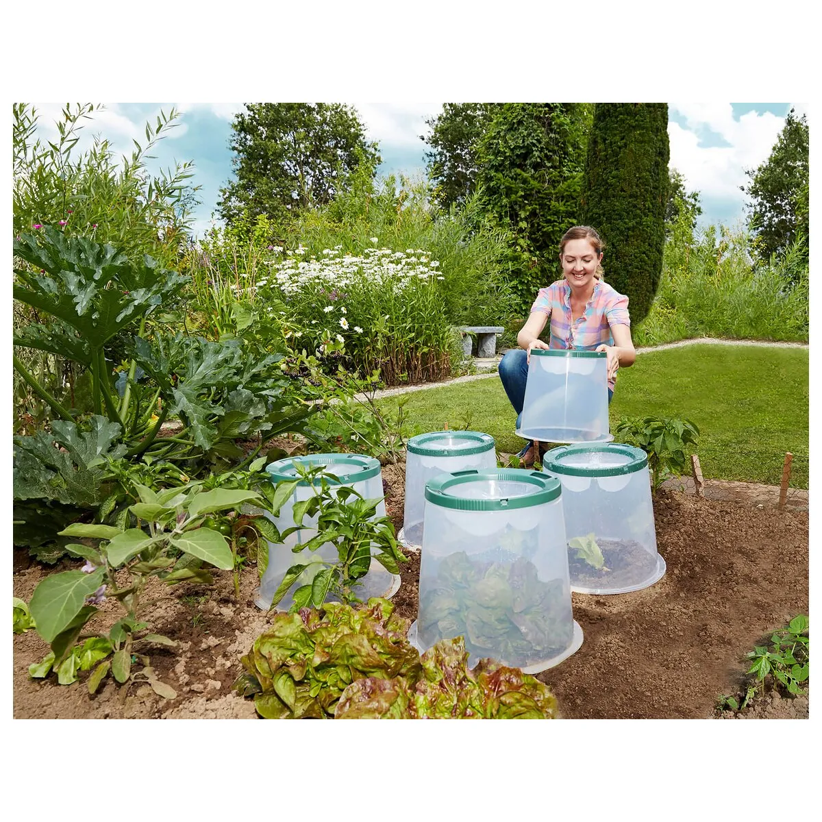 Garantia Graf Cloches de Culture Sunny