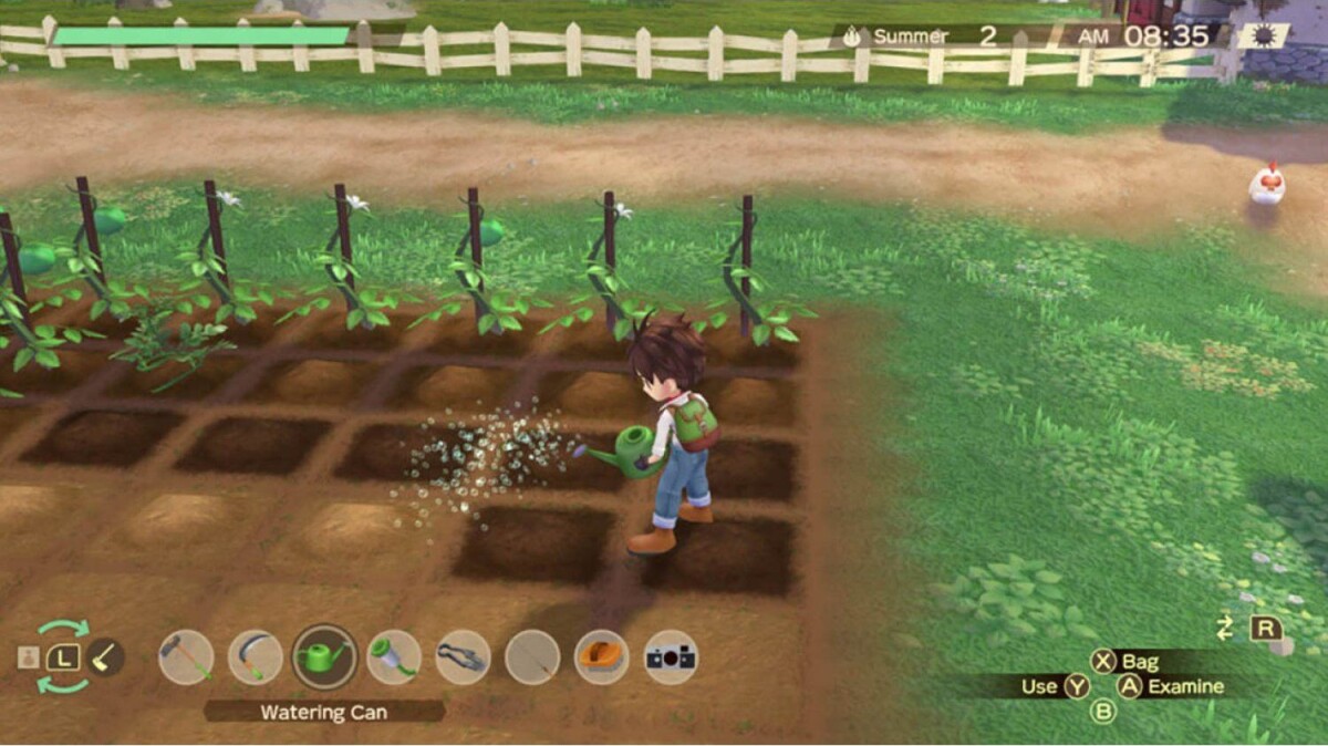 Story Of Seasons: A Wonderful Life - Xbox Series X