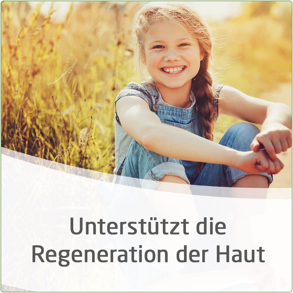 Calendula Wundsalbe zur wirksamen Behandlung von Schürfwunden und kleineren Hautverletzungen