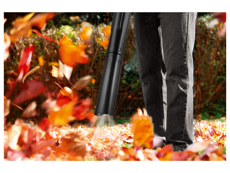 Benzine bladblazer en -zuiger 900 W 1,2 pk
