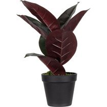 Plante artificielle 'caoutchouc', hauteur: 360 mm