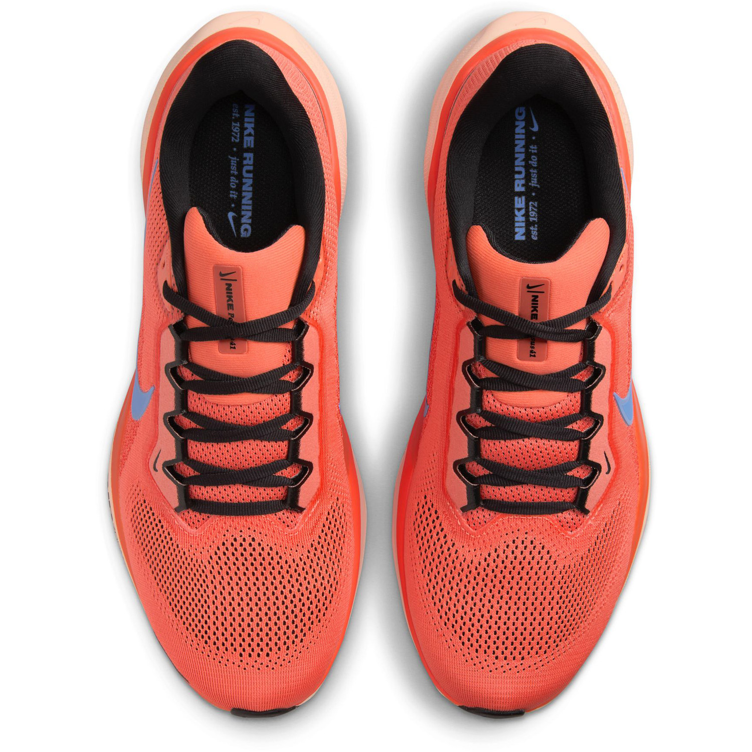 Nike Pegasus 41 Heren