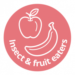 Hikari Crest Gel 50g (fruit- en insecteneters)