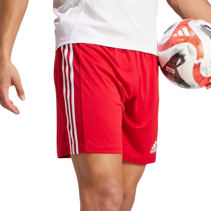 Adidas Squadra 21 Short Heren