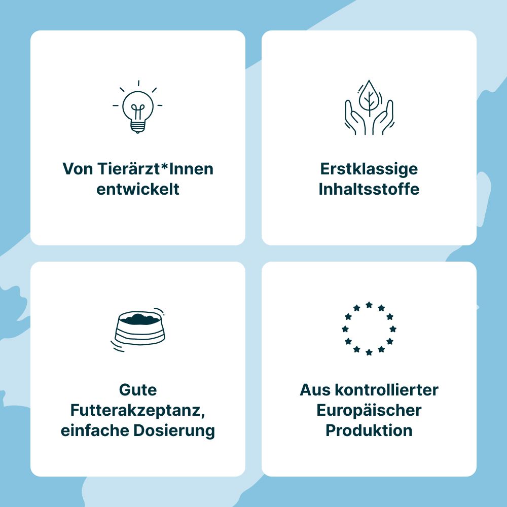 Gasteel® Vet Kapseln zur Unterstützung der Darmfunktion