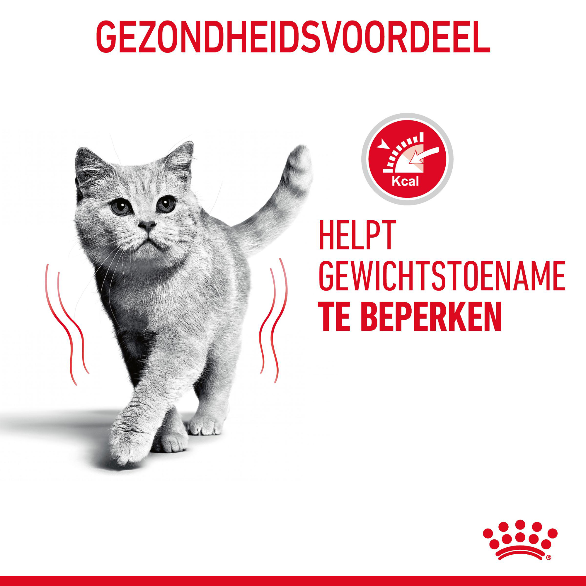 Royal Canin Light Weight Care in Jelly - Kattenvoer
