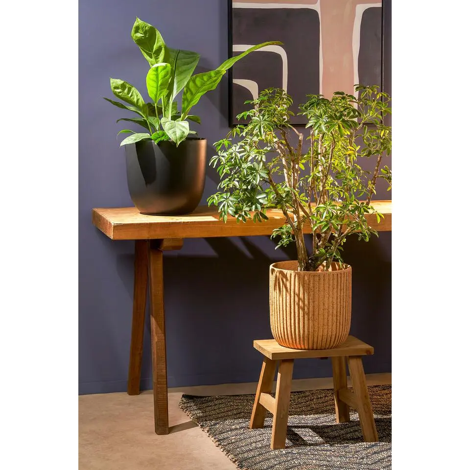 Mica Decorations Planten/bloempot Tusca - Zwart - D31/H28 cm