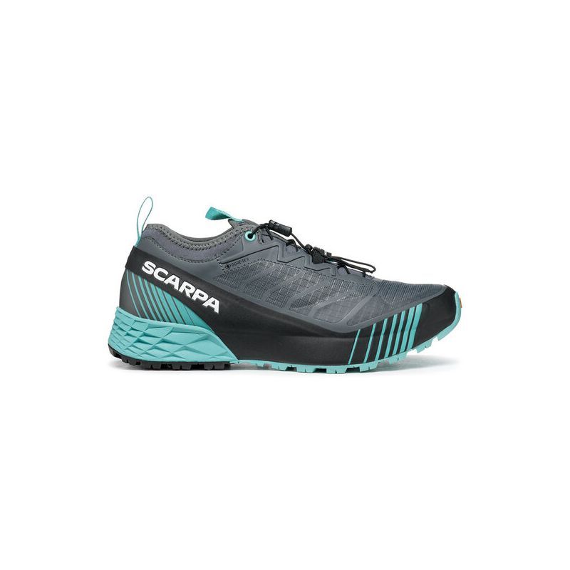 Ribelle Run GTX Wmn - Chaussures trail femme