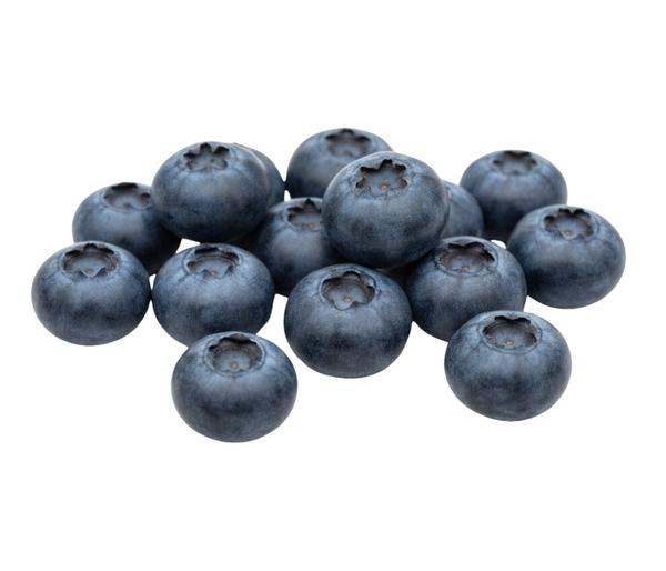 Bio Heidelbeere 'Hortblue Petite®'