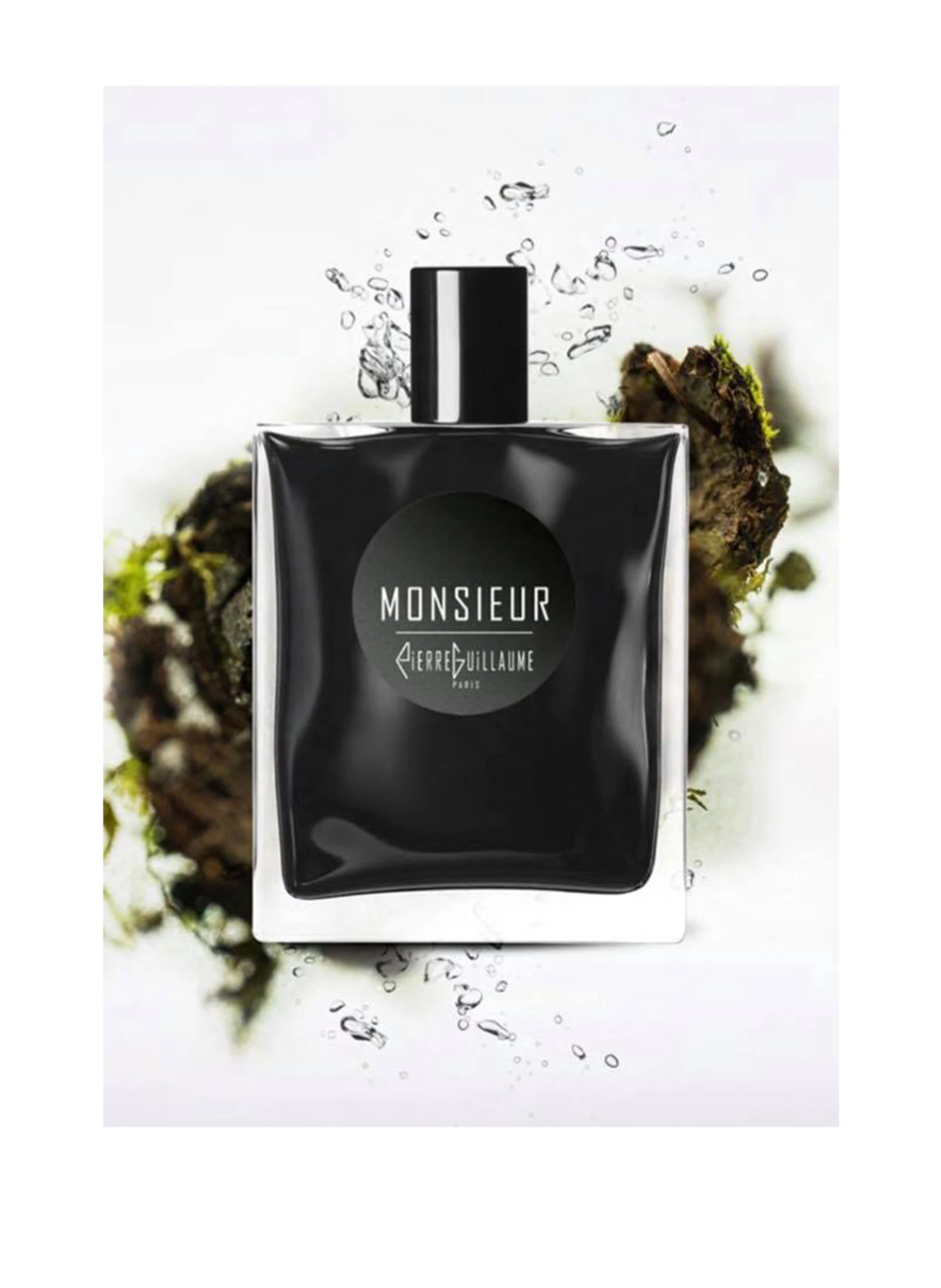 Pierre Guillaume Paris MONSIEUR