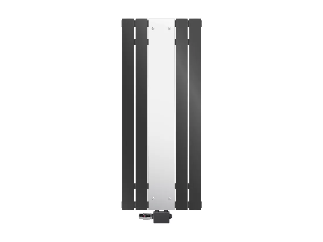 Radiateur plat anthracite 45x120 cm avec miroir et kit raccordement universel