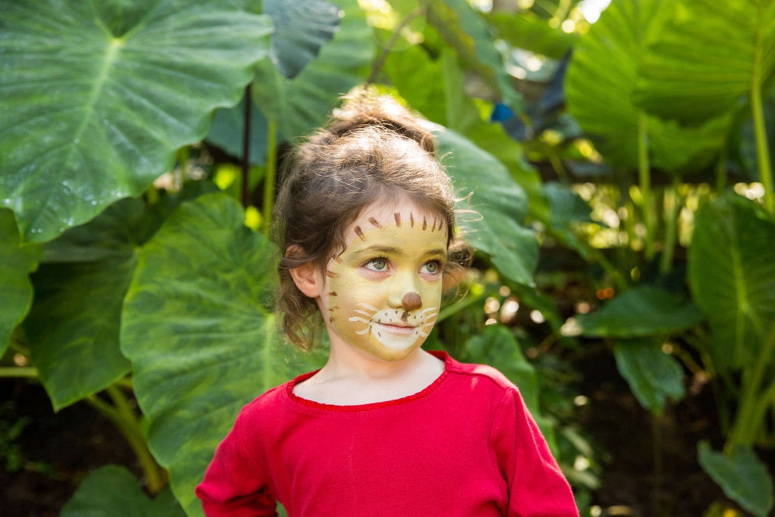 namaki  Lion & Giraffe Face Painting Kit
