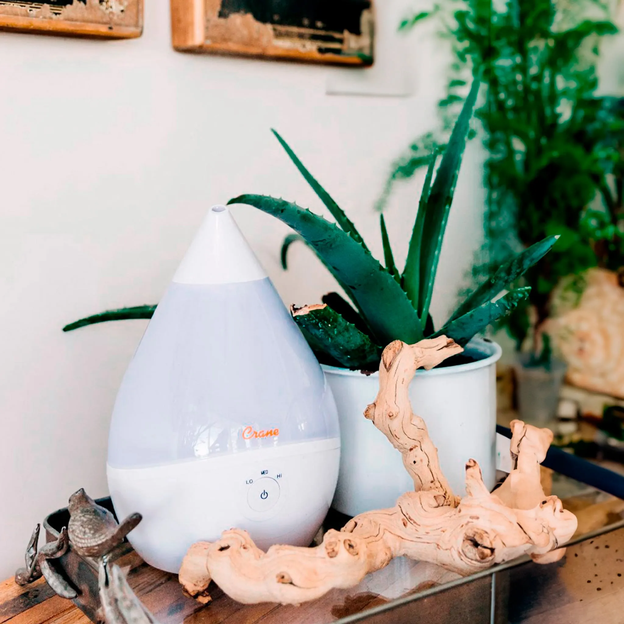 Crane Humidificateur ultrasonique à vapeur froide sans filtre Droplet, 1,89 l (0,5 gal.)