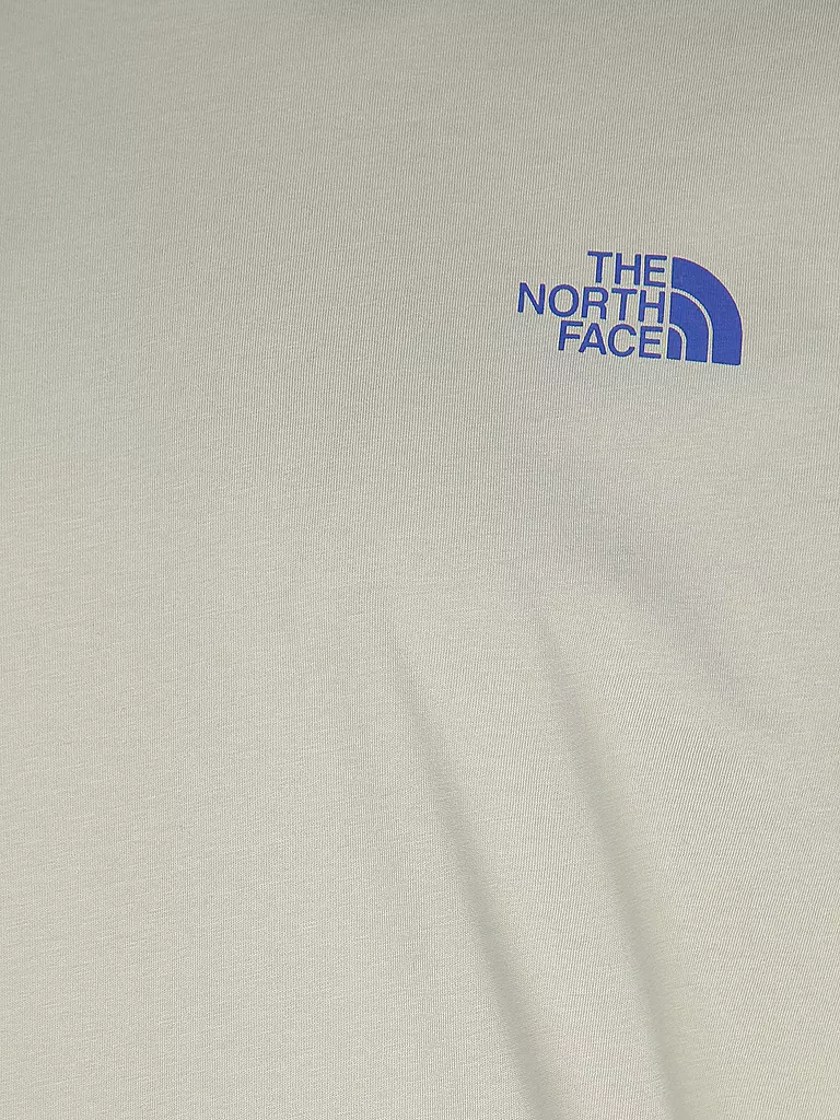 THE NORTH FACE T-Shirt grau