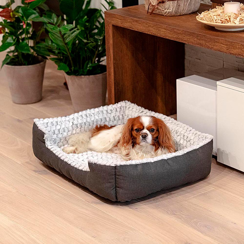Ferplast panier chien coussin chien moyen taille panier chat coussin chat doux et confortable 48 x 37 x h 16 cm. Gris