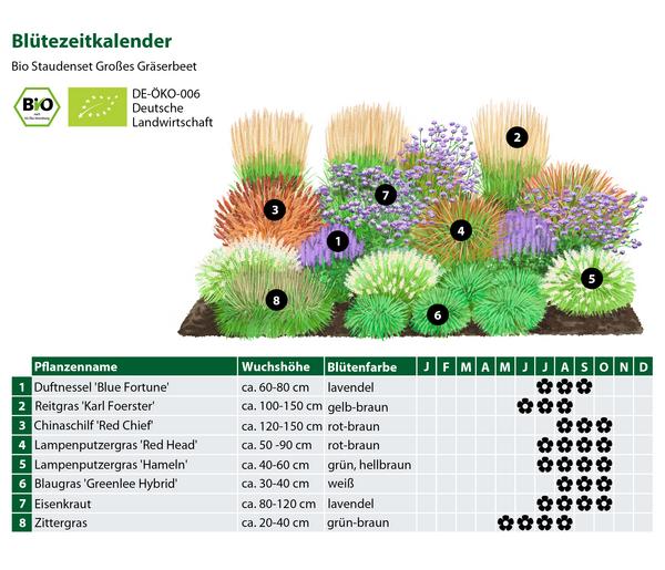 Bio Stauden-Set Großes Gräser-Beet,