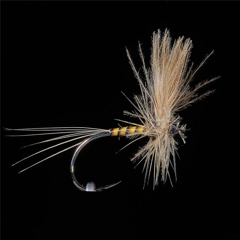 Mouche Jmc Ephémères Eli 22 Bl
