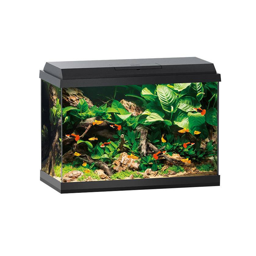 Juwel Primo 70 LED | Aquaria