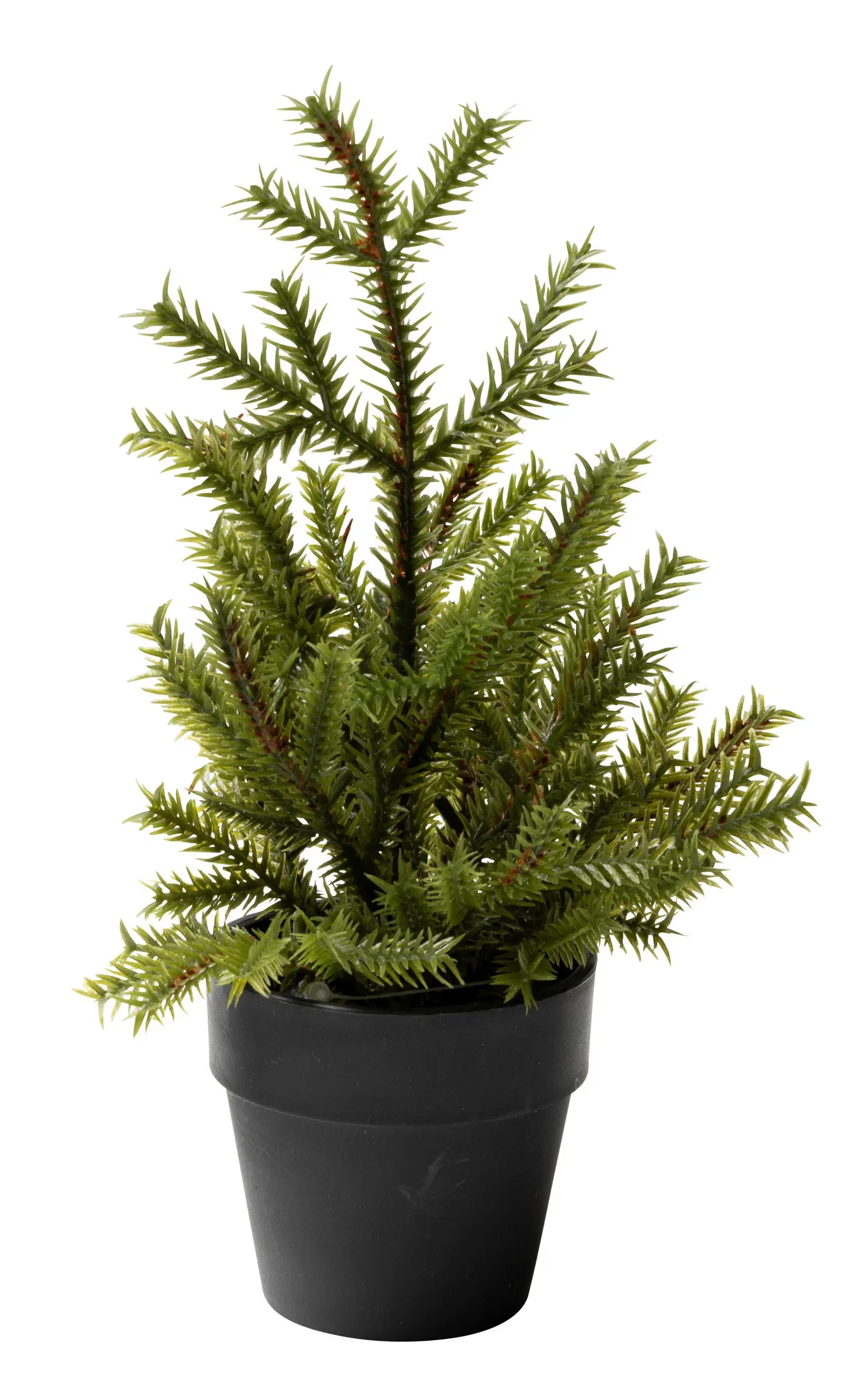 Furu mini i potte kunstig Høyde 19 cm