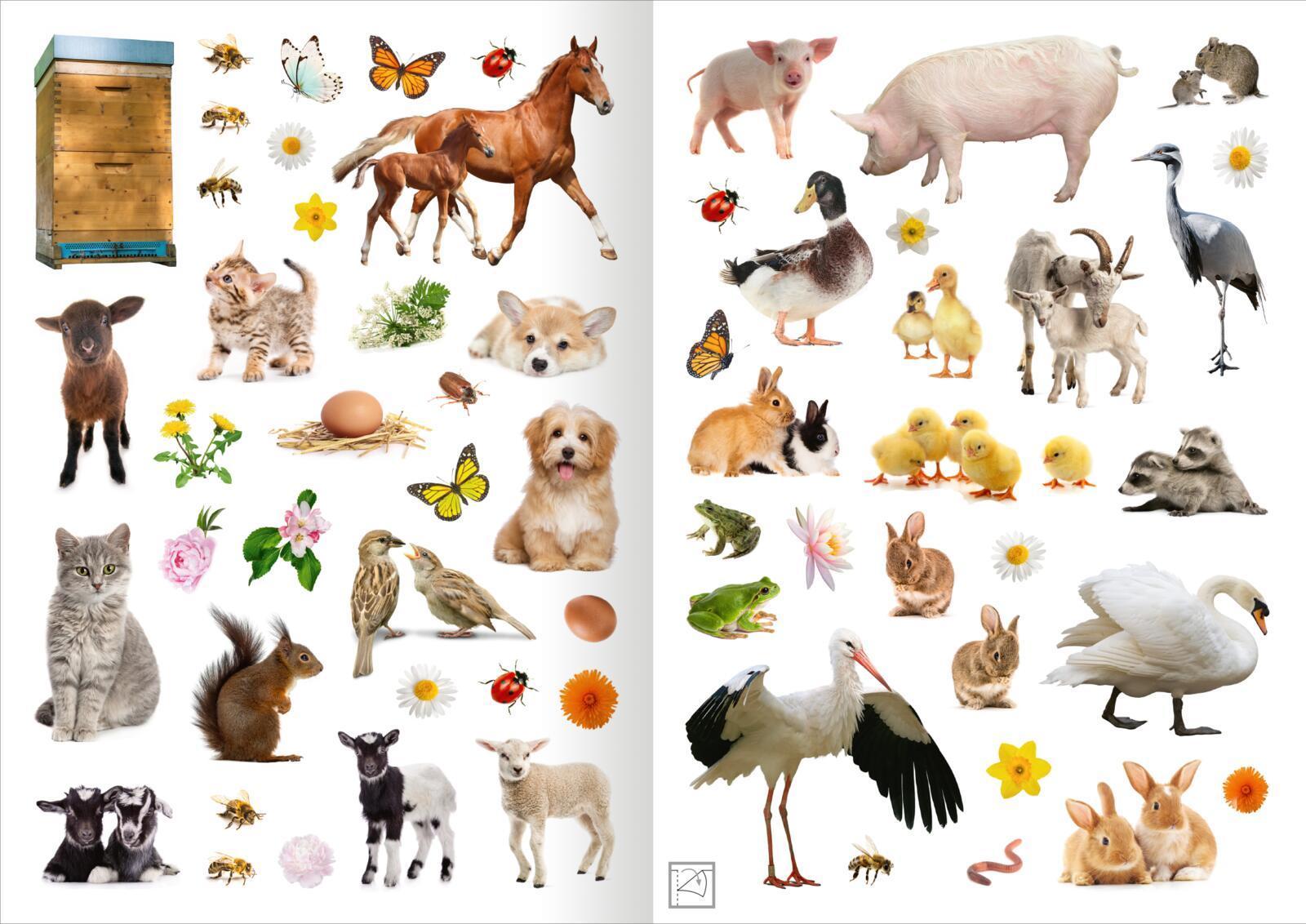 Mein Foto-Stickerspaß - Frühling