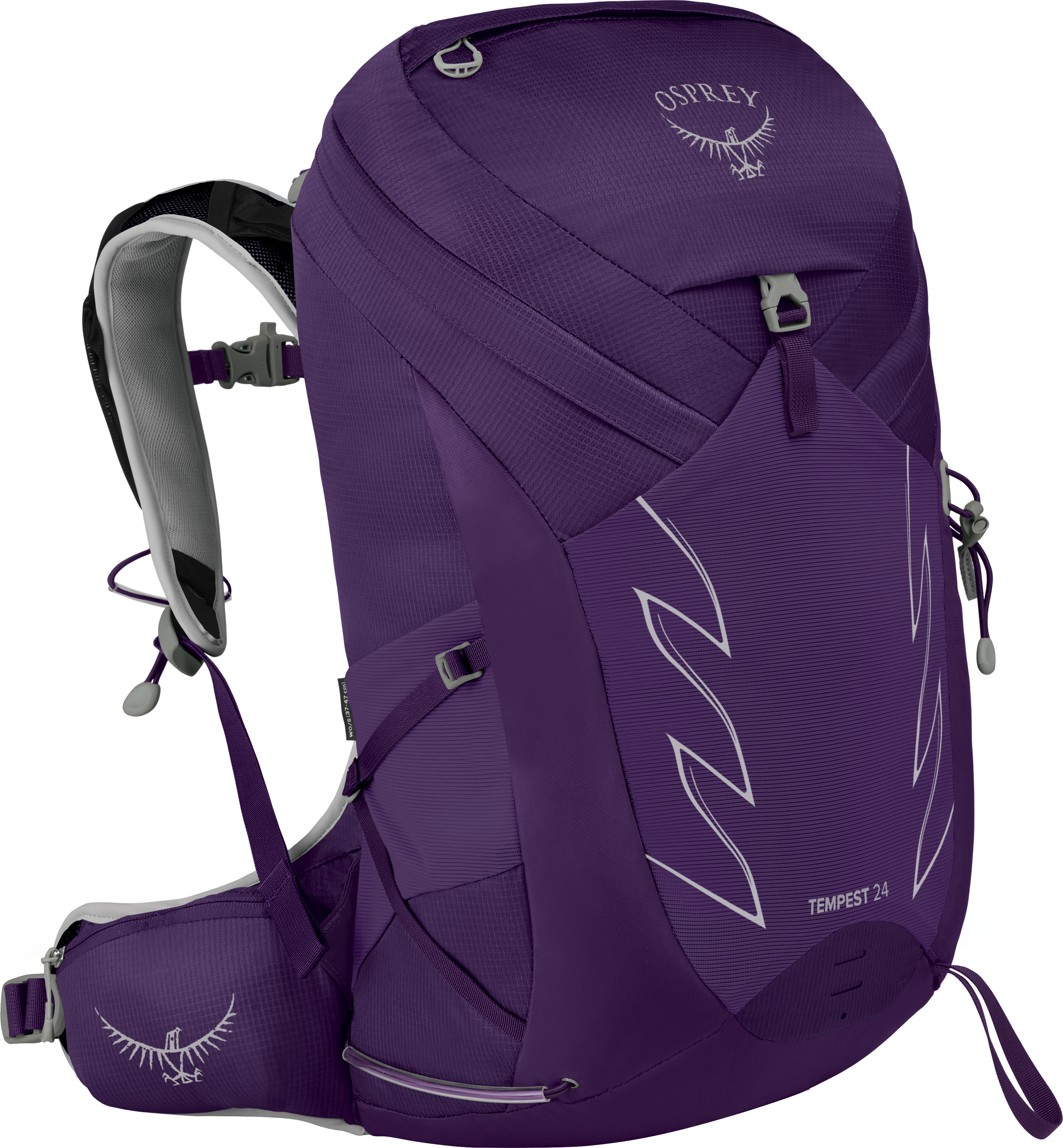 Tempest 24 413/Violac Purple
