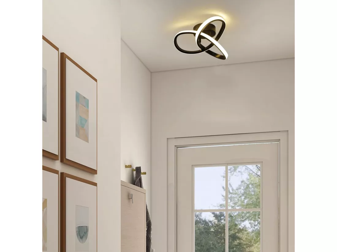 NETTLIFE Plafonnier LED Blanc Chaud - 17W Lampe Noire Lampe de Cuisine Moderne Petite 3000 K pour Chambre d'enfant Salon Chambre Couloir Cuisine