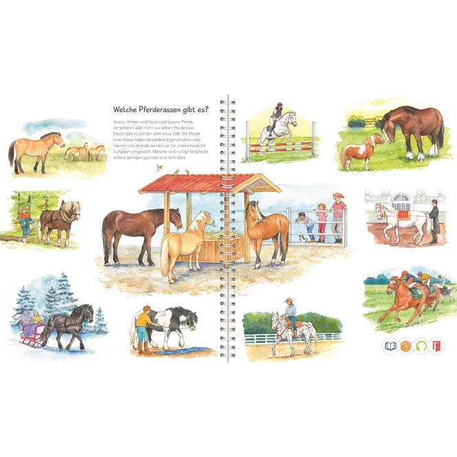 tiptoi® Buch - Wieso? Weshalb? Warum? - Wir entdecken Pferde und Ponys