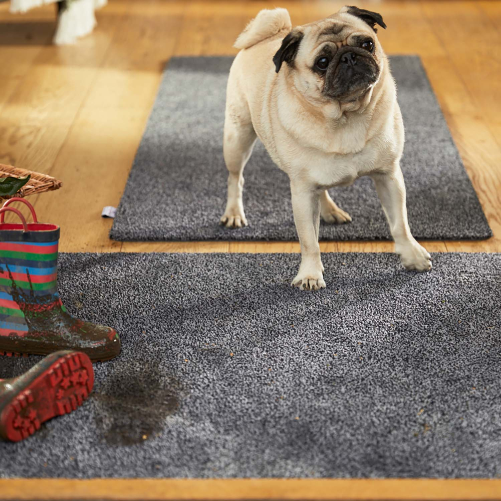 Tapis d'entrée en matière recyclée 50 x 75 cm gris