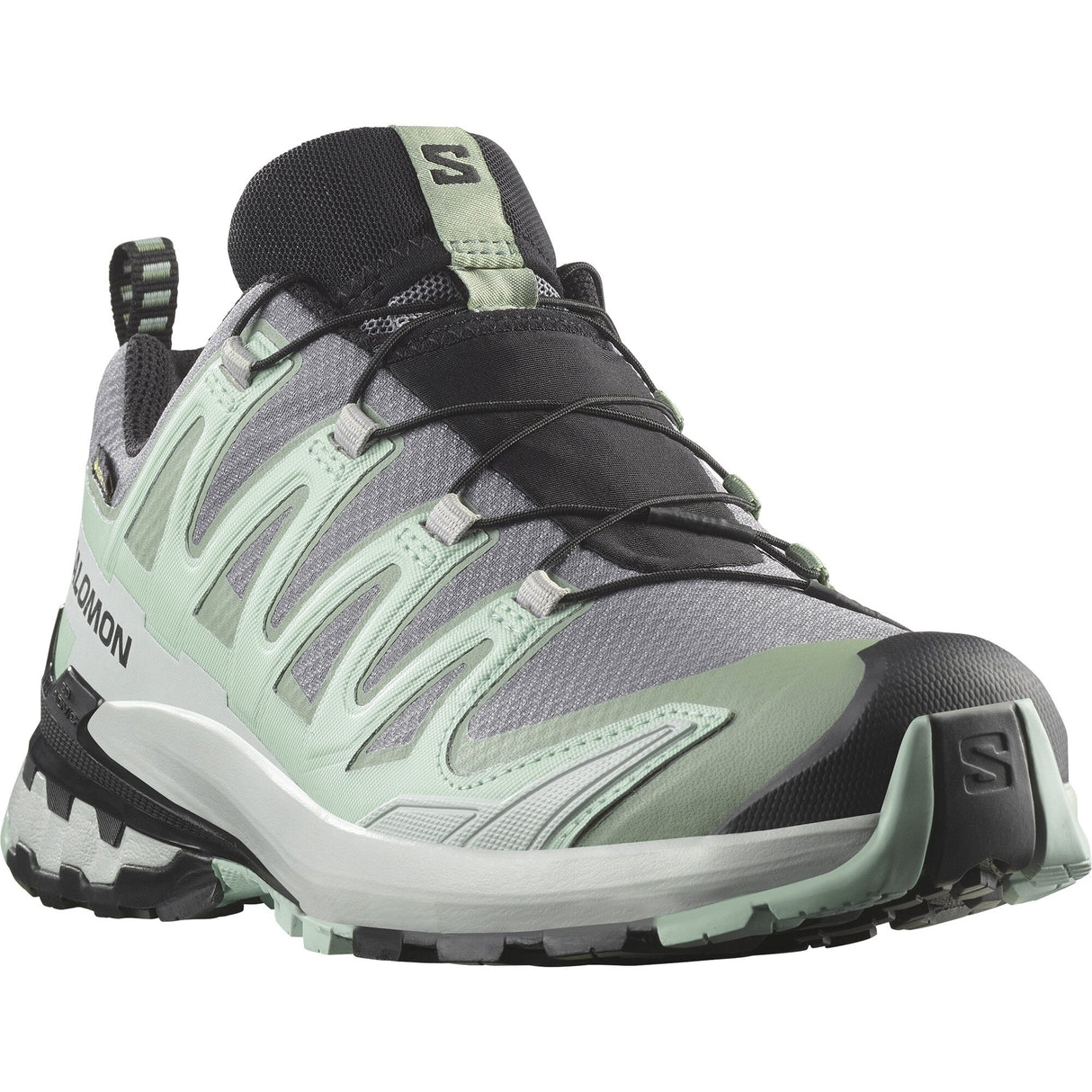 Salomon<br>XA Pro 3D V9 GTX W