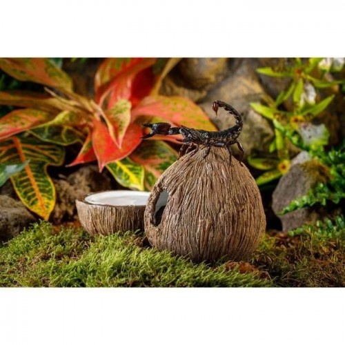 Tigela de coco Exo Terra para decoração de aquário
