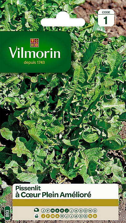 Graines de Pissenlit à Coeur Plein Amélioré Vilmorin