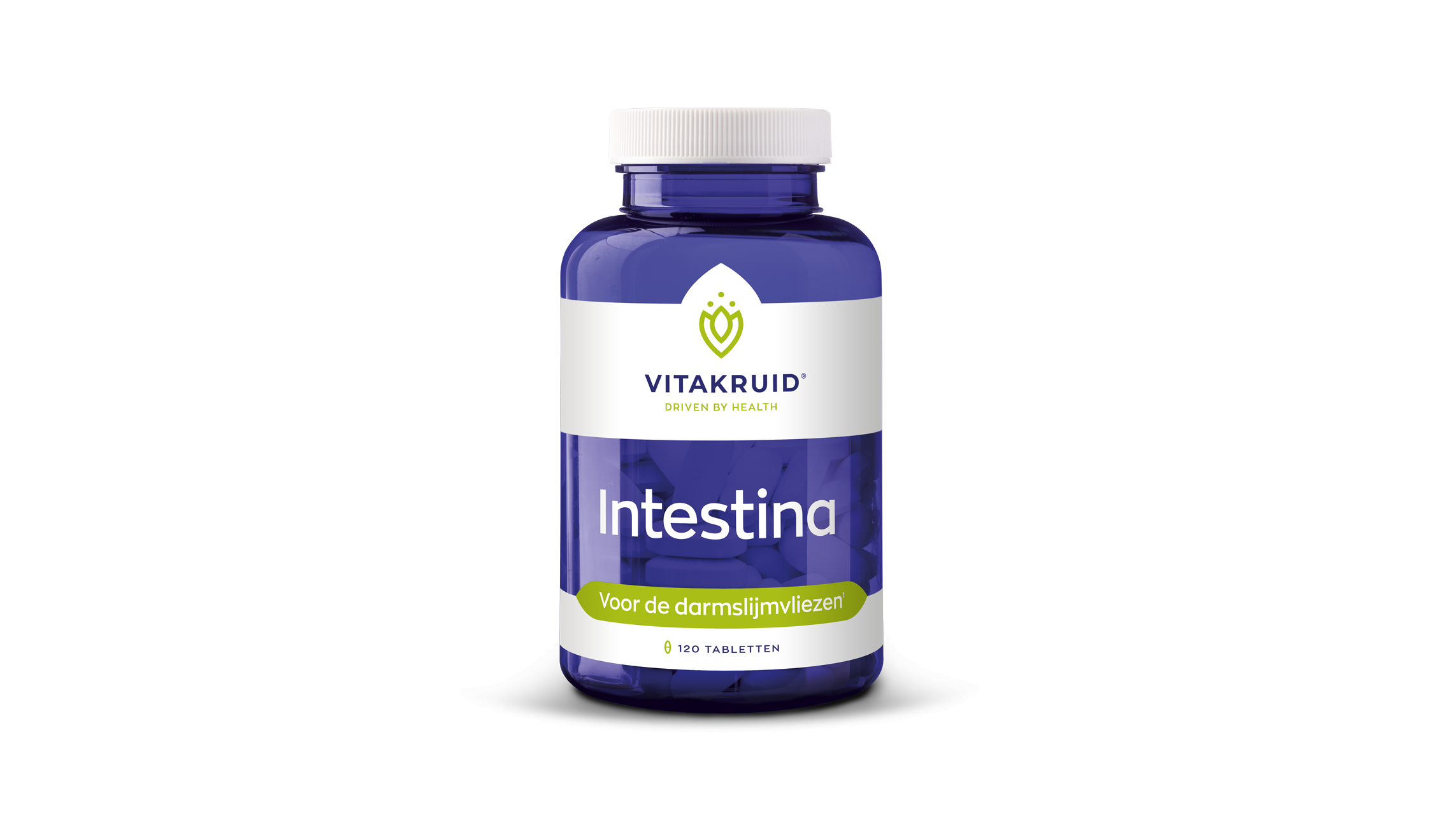 Intestina