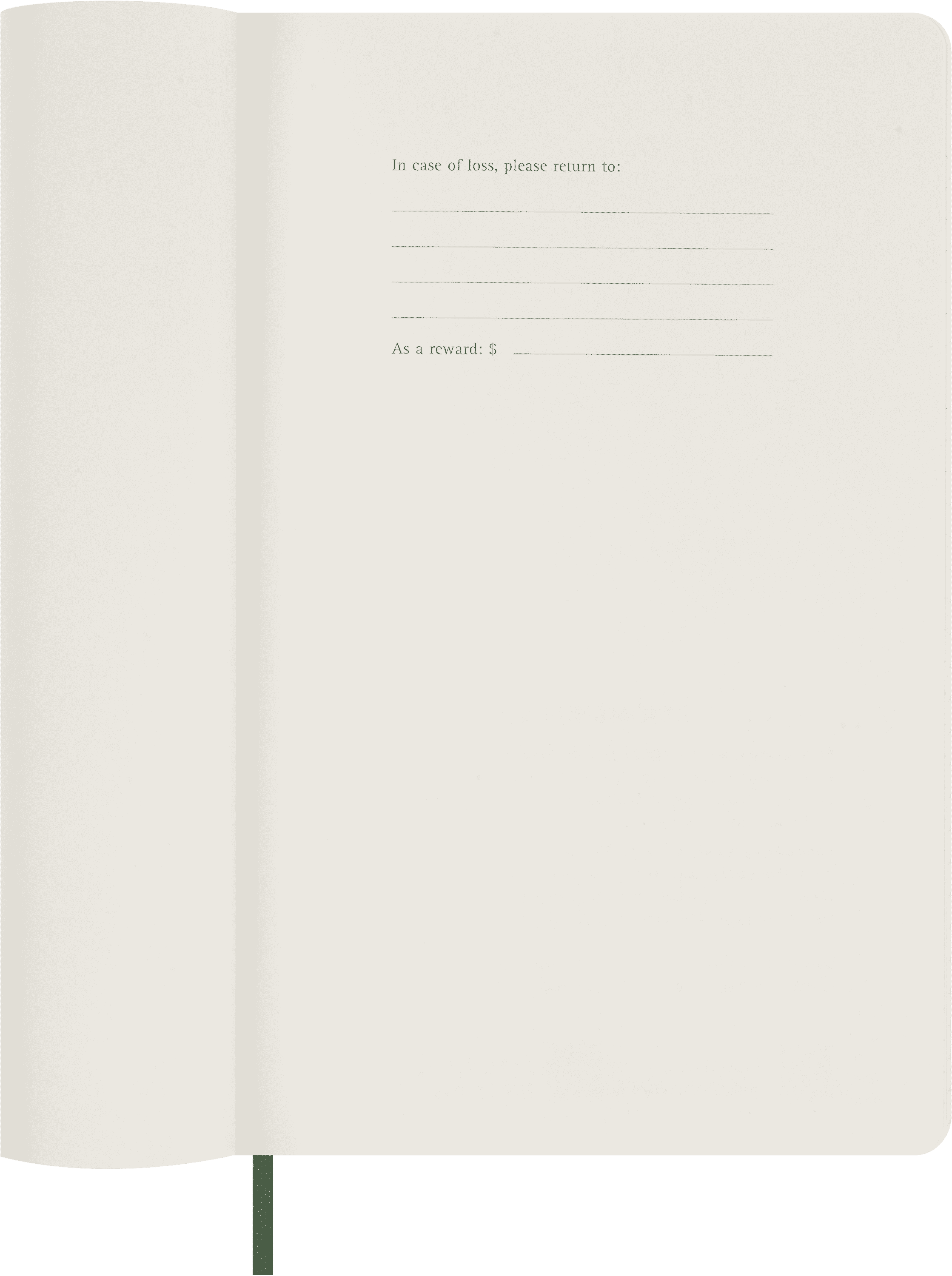 Classic Planner 2025 Large Daily, soft cover, 12 months