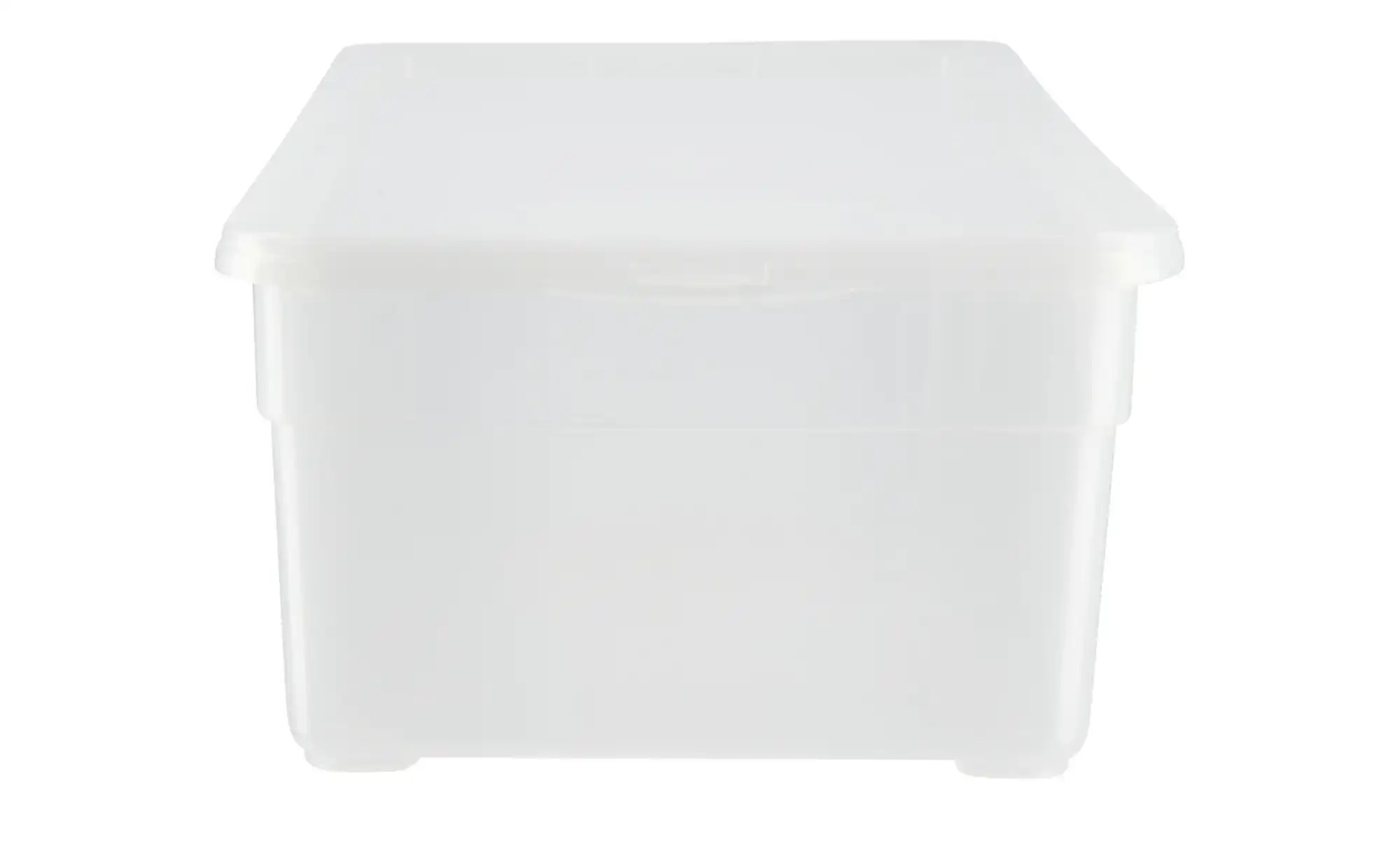 Rotho Aufbewahrungsbox, 4er Set
