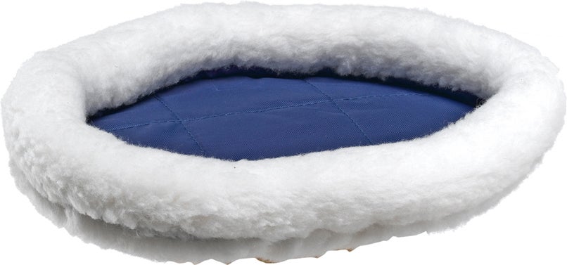 Bed voor konijnen of cavia's